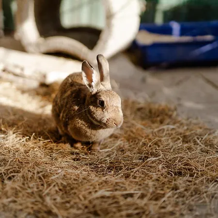 Reethaus 3b Staberdorf