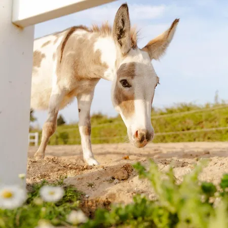 Reethaus 3b * Staberdorf