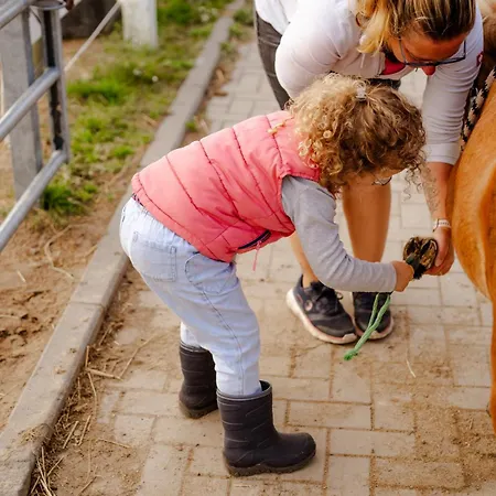 Dom wakacyjny Reethaus 3b