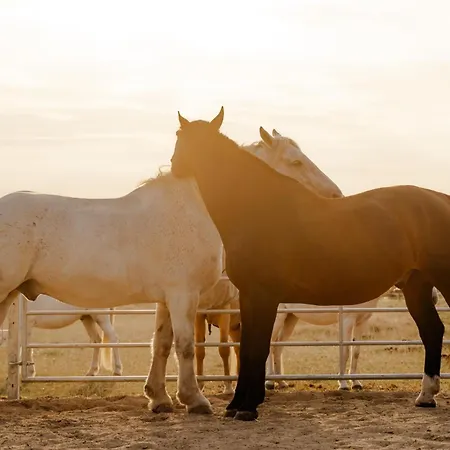 Dom wakacyjny Reethaus 3b *