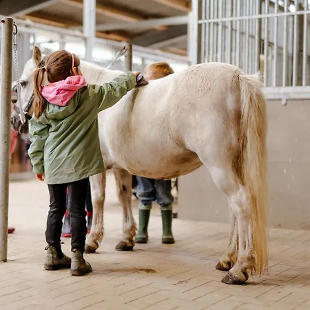 Reethaus 3b Dom wakacyjny