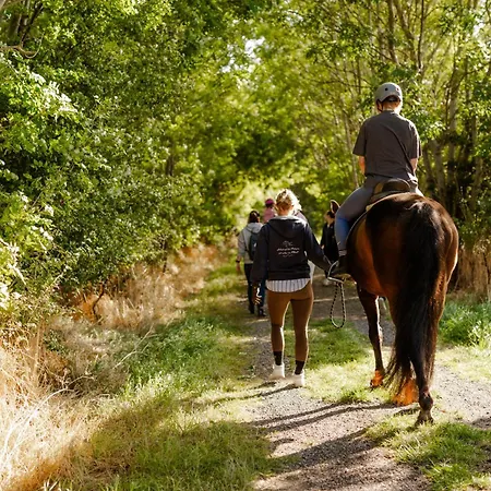 Dom wakacyjny Reethaus 3b