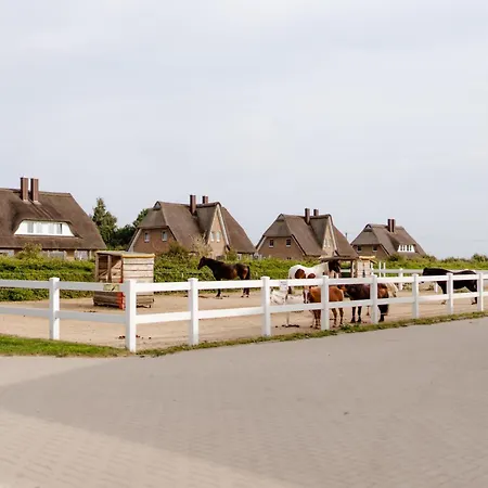 Reethaus 3b Dom wakacyjny *